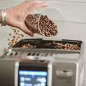 cafe en grain pour machine automatique