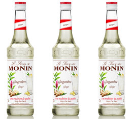Lot de Sirops Gingembre - 3 x 70cl - MONIN