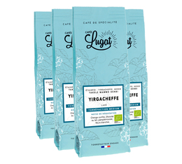 1kg - Café en grain Bio Ethiopie Yirgacheffe - Cafés Lugat 