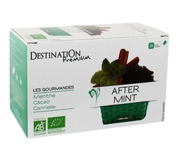 Organic 'After Mint' Herbal Tea - 20 individually-wrapped sachets - Destination