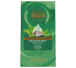 infusion menthe lipton