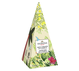 cono ovetti pasqua cioccolato valrhona