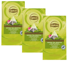 sencha green tea lipton value pack