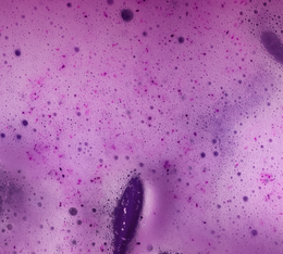 ube latte de numorning boisson instantanne