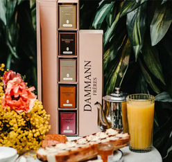 the coffret iris dammann freres