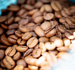 cafes en grain blend cafes lugat