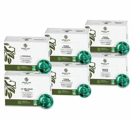 Pack découverte 300 dosettes compatibles Nespresso® pro Office Pads Bio - GREEN LION COFFEE