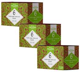 Red berries and lime green tea pack - Maison Taillefer - 3 boxes of 20 sachets