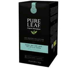 Pure Leaf Mint Green Tea - 20 pyramid tea bags