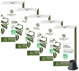 Green Lion Coffee Nespresso pods Terre d'avenir x 50 coffee pods