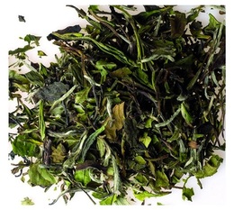Destination organic White tea 
