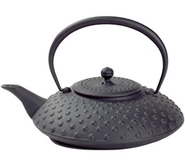 OIGEN Kabin Japanese cast iron teapot 1.2L black + Free gift