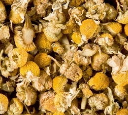 Dammann Fr�res Chamomile Herbal Tea - 100g loose leaf