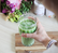 matcha latte bio superfood