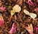 Dammann Frères 'Bali' Rooibos & fruity green tea - 100g loose leaf