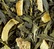 Dammann Frères Soleil Vert green tea - 100g loose leaf tea