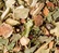 Dammann Frères 'Tisane des 40 Sous' herbal tea - 100g loose leaf tea