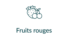 puree fruits rouges