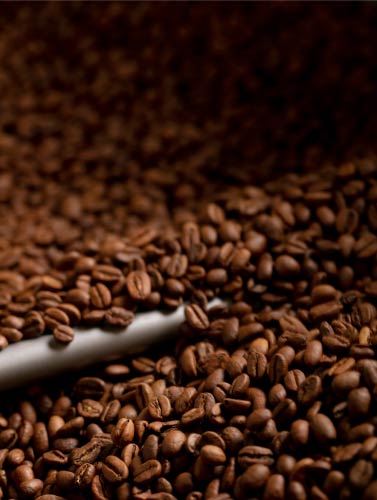 cafe en grain